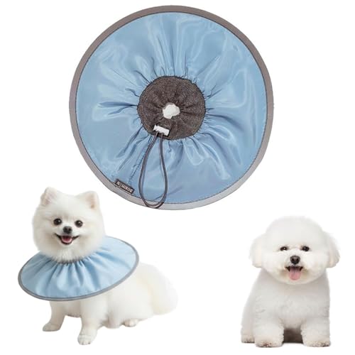 LifetipsrVt[[ rVLp GUxXJ[ h \tg y pPA ی Ȃߖh~ p EȒP 􂦂 PAJ[(xr[u[j(Lj