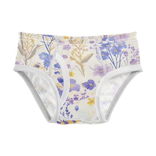 KLL Vintage Embroidery Honey Bee with Wild Flowers Boys Toddler Cotton Training Underwear Cute Undies