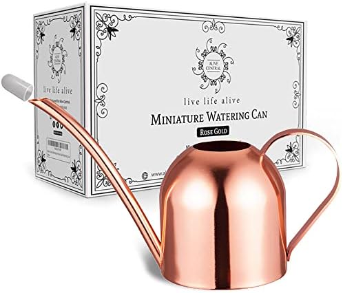 ALIVE CENTRAL Small Watering Can for Indoor Plants - Mini Watering Can - Rose Gold