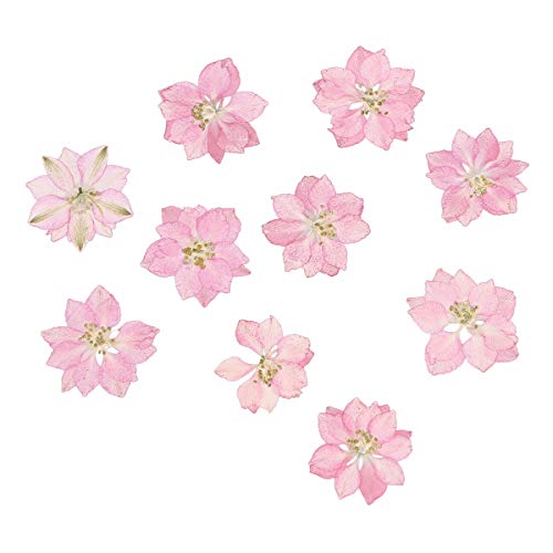SUPVOX 20pcs Real Dried Pressed Flowers,Pink Larkspur Natural Dried Flowers for DIY Candle Resin Jewelry Pendant Crafts Making DIY Cards Art Decorations