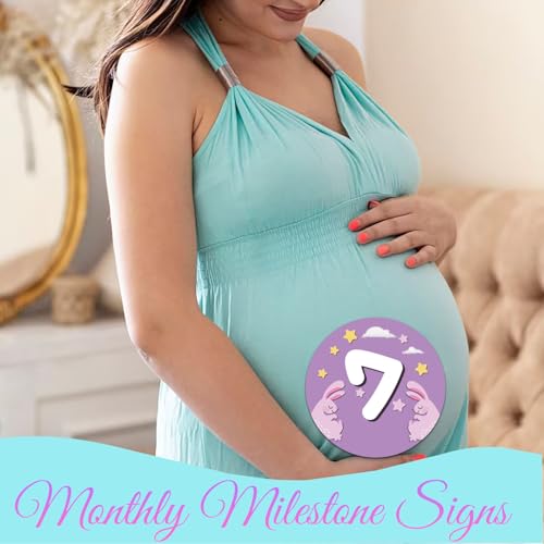 Image of 14 Designs Safari Twin Baby Monthly Milestone Cards Sign, 1-12 Months Wooden Photo Props for Twins, Gender-Neutral Twin Baby Shower Cards, Twins Memory Book Essentials (Twins Monthly Milestone)