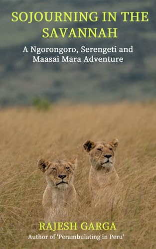 Sojourning in the Savannah: A Ngorongoro, Serengeti and Maasai Mara Adventure