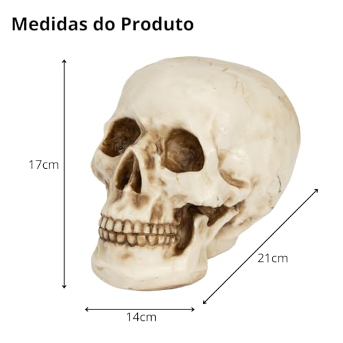 Caveira Crânio Tamanho Real Grande Esqueleto Decorativo em Resina, Anatomia Humana, Cabeça Osso Deco