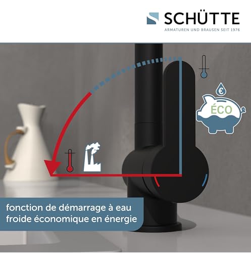 Mitigeur cuisine basse pression noir pour évier devant une fenêtre