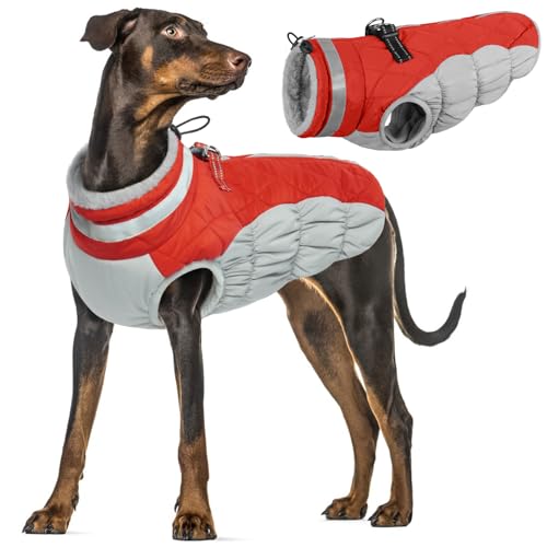 Cappotto Impermeabile per Cani Taglia Grande - Giacca Calda Invernale, Giubbotto Termico Piumino (Rosso, XL)