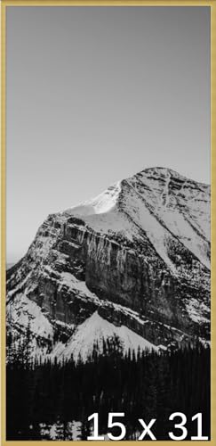 Frame It Easy 15 x 31 Gloss Gold Metal Frame (Ashford)