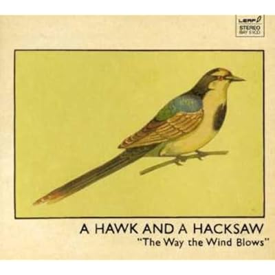 The Way The Wind Blows