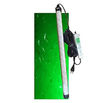 green blob fishing light