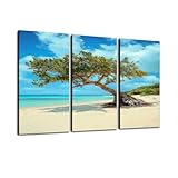 Large Canvas Wall Art 3 Pcs Divi Tree Aruba Canvas Art Prints Pictures Framed Artwork Poster Wall Decor for Living Room Bedroom 32x48 In