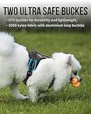 Onetigris Dog Harness & Lead, Small Dog No Pull, Heavy Duty, Soft Padded, Reflective, Adjustable, Easy Control Handle, Training, Black, XS - Image 8