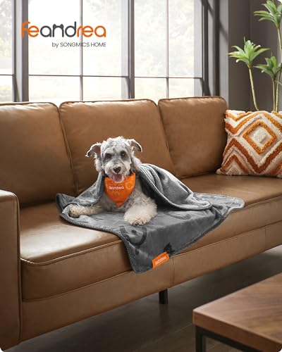 Feandrea Hundedecke, Katzendecke waschbar, 3er Set Haustier-Decke, M, 102 x 73 cm, für Mini- und kleine Hunde, Flanell, Schutzdecke für Sofa, schiefergrau PPB013G01