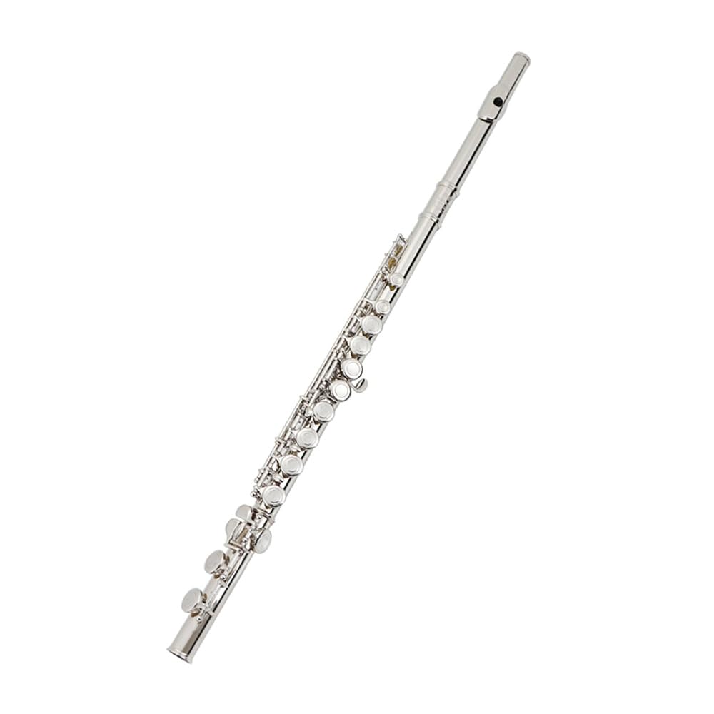 HCZKIUJY 16-Hole Closed-Hole Flute, C Key Silver-Plated Professional Performance Test Instrument,Regular box (Regular box)
