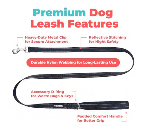Image of Best Pet Supplies Voyager Reflective Dog Leash or Collar with Neoprene Handle, for Small, Medium, and Large Breed Puppies, Cute and Heavy Duty for Walking, Running and Training - Black (Leash), S