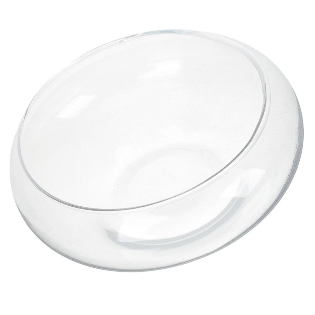 GANAZONO Pecera De Cristal 25cm Pecera Transparente Pecera Acuario Transparente Maceta Hidropónica para Sala De Estar Hogar Oficina Decoración De Mesa