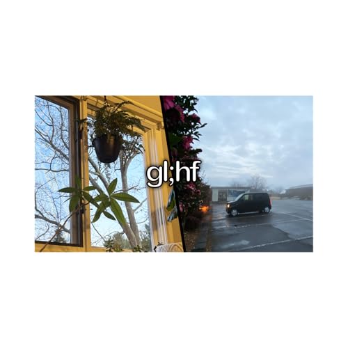 mem calls in from outer space