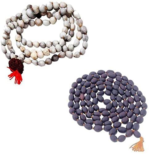 JaiSakshi Combo of Energized Original Seeds Vaijanti Mala & 108 Lotus Seeds Kamal gatta Mala for Wearing, Pooja Mantra Chanting Wood Chain (B0B25LWQTZ) Amazon Price History, Amazon Price Tracker