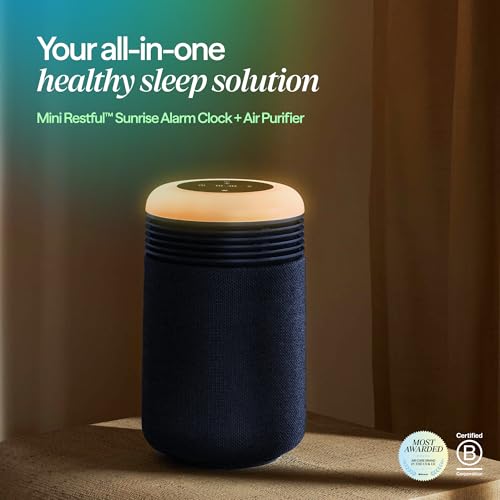 Blueair commercial air purifier