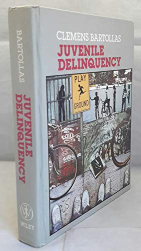 Juvenile Delinquency 0471893641 Book Cover
