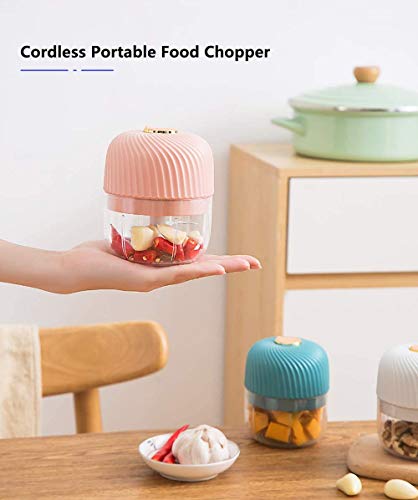 Dmofwhi Electric Garlic Chopper,Cordless Mini Chopper With Usb Rechargeable,304 Stainless Steel Blade,250Ml Portable Electric Mini Food Chopper For Garlic,Ginger,Onion,Meat-Blue #TOP7