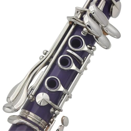 Clarinette Bb 17 touches violettes pour débutant avec pack accessoires