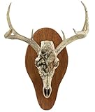 Field Champ Replica Skull Mount Kit, Vista Camo