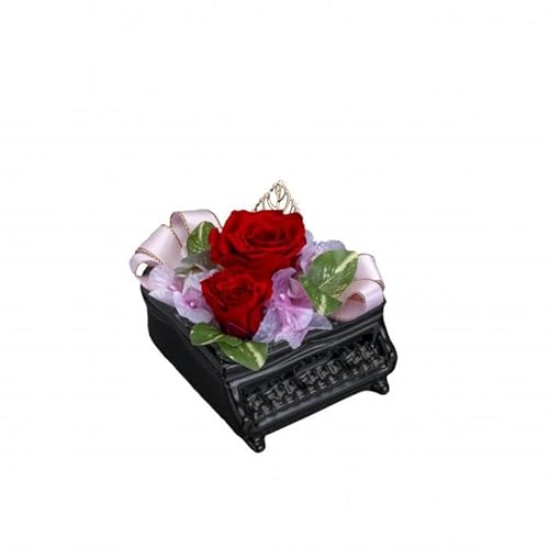 [[2T]v v`OhsAm() ubN/bh