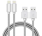 Metzonic Apple MFi Certified iPhone Charger 2 Pack 6.6Feet Metal Stainless Steel Braided USB Charging Cable High Speed Connector Data Sync Transfer Cord Compatible with iPhone/iPad (Silver, 6.6 ft)