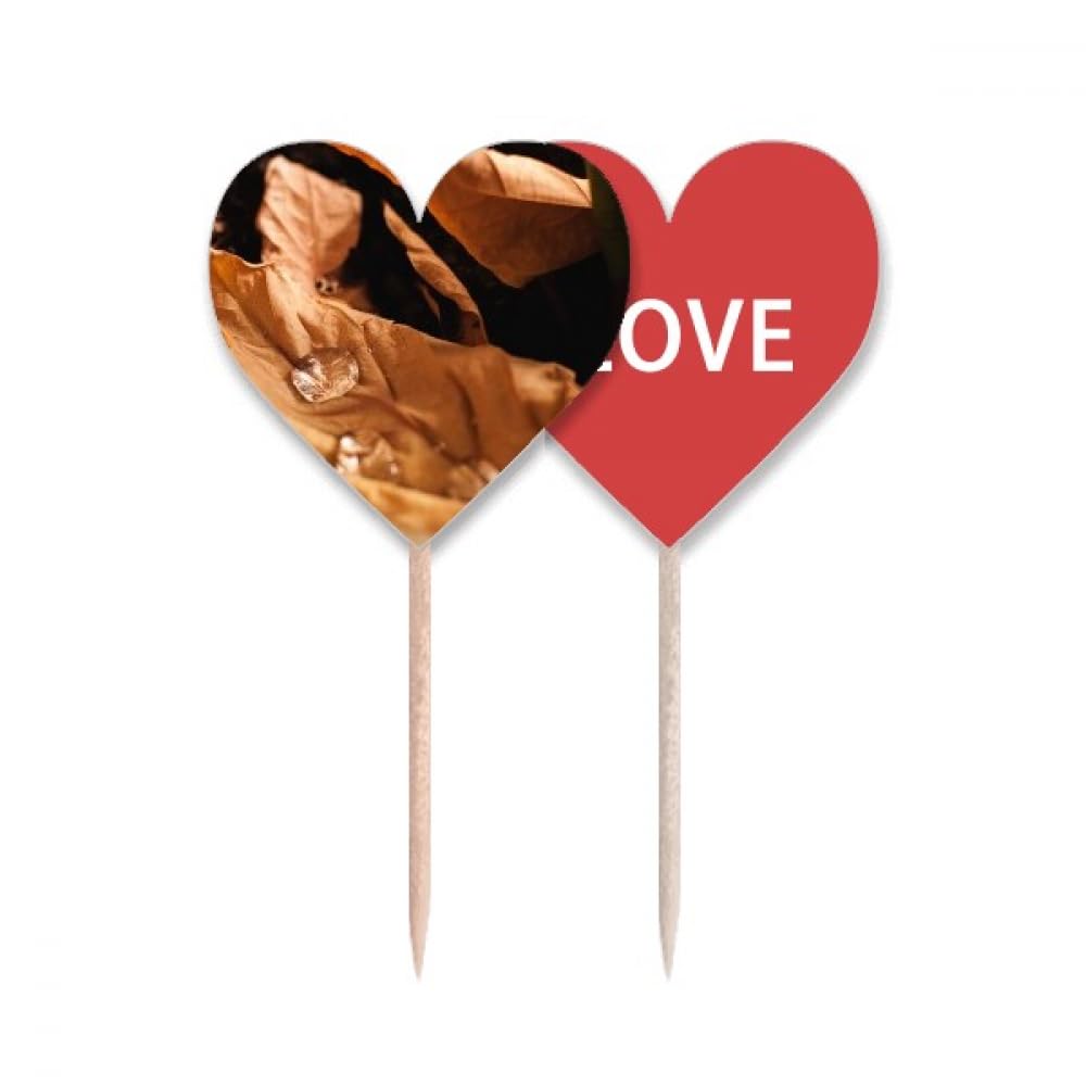 Cure-dents drapeau amour cœur lable cupcake pick Fallen Nature photographie
