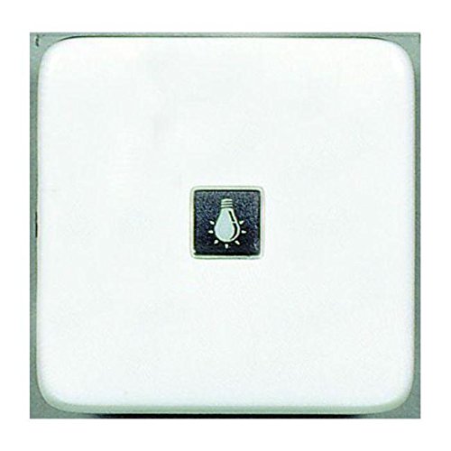 Legrand Kontrollwippe für Kombimontage DB Creo, ultraweiß, mit Symbolen, 776211