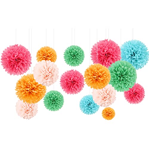 AOBKIAT Hochzeits-Dekorationen, 16 Stück, verschiedene Regenbogenfarben, Seidenpapier-Pompons, Blumen für Geburtstag, Hochzeit, Taufe, Babyparty, Küchentee, Kinderzimmer-Dekoration Cover