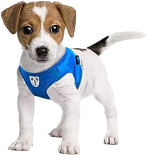 Pet's Playground Small Dog Harness | Dog Harness Small Dog | Puppy Dog Harness | Dog Harness For Puppies | Dog Harness For Small Dogs | Harness for Small Dogs UK | Extra Small Dog Harness | Blue | S