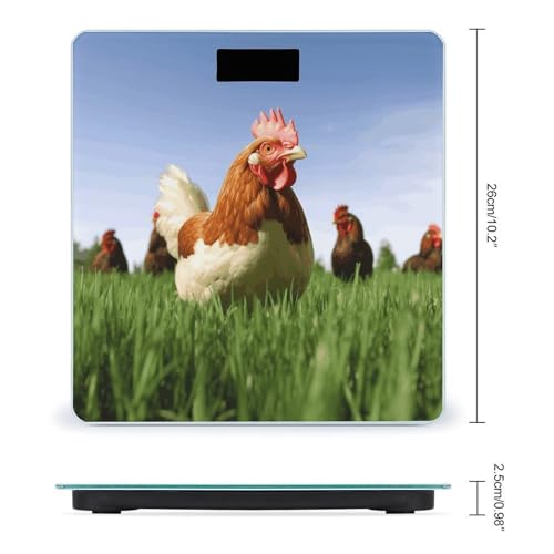 Báscula Digital de Baño con Pantalla LCD y Vidrio Templado miniatura 2