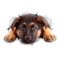 3D Golden Retriever Wall Stickers 2-Pack - Realistic Dog Decals For Home Decor