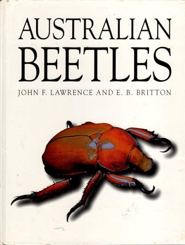 Australian Beetles view 2
