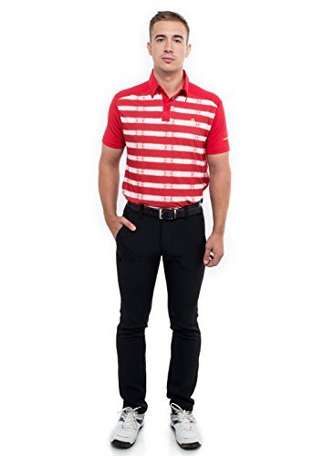 Image of TRUEREVO Sports Stretchy Dryfit Striped Golf Collar Tshirt for Men