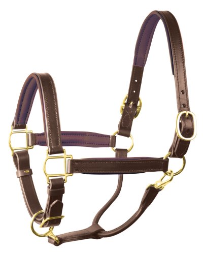 Perri's Padded Leather Halter (Havana/Brown, Horse)