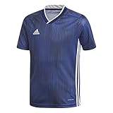 adidas Boy's Tiro19 Jersey,Dark Blue/White,S/P