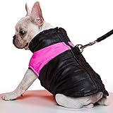 ♥ LEASH HOLE: TFENG Vest kommt mit D-RING auf der Rückseite des Halses, so dass Sie ganz einfach befestigen Sie die Blei auf Kragen ohne Ziehen der Mantel in Richtung der Rückseite des Hundes.
