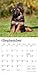 German Shepherd Puppies | 2026 7 x 14 Inch (Hanging) Monthly Mini Wall Calendar | BrownTrout | Animals Dog Breeds Puppy