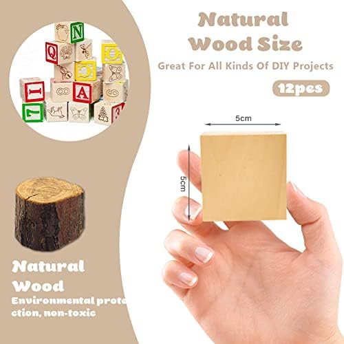 BUENTYA 12 Pcs Basswood Wood Carving Blocks,5 x 5 x 5cm Large Wooden Cubes Natural Whittling Blocks Unfinished Smooth Wooden Cubes for DIY Carving, Shaping, Painting, Creative Wood Craft(2*2*2 inch)
