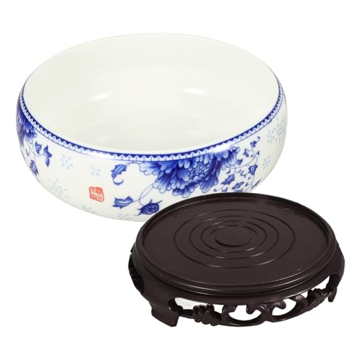 Sewroro Ceramic Hydroponic Daffodil Flower Pot with Plastic 