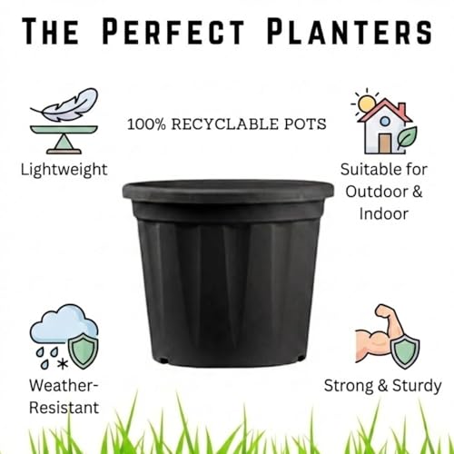 Image of 12 Inch Heavy Duty Plastic Planter | Grower Pot /Garden Pot for Home & Garden (Black) (Pack of 2)