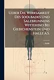 salzbrunnenhaus mieten  Ueber die Wirksamkeit des Soolbades und Salzbrunnens Wittekind bei Giebichenstein und Halle a.S.