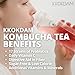 KKOKDAM Kombucha Tea - Grapefruit & Hibiscus Korean Tea - Kombucha Drinks Probiotic Support, Low Calorie, Sugar Free Kombucha Pack - 15 Packs