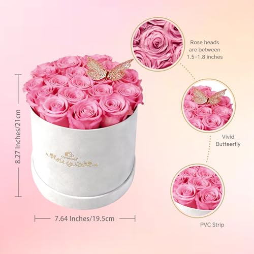16 Preserved Roses in a Box, Preserved Flowers Gifts for Women, Forever Flowers for Delivery, Flower Birthday Gifts Box for Her, Mothers Day Rose Gifts for Mom, Sweet Pink - Image 3