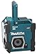 Akku-Baustellenradio 12V max. - 40V max. / 230V (ohne Akku, ohne Ladegerät)