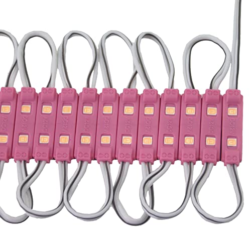 Image of Super Bright 200pcs 2835 2 LED Module Sign Lights Pink 80-90LM Per Module Waterproof Decorative Light for Letter Sign Advertising Signs with Tape Adhesive Backside (Pink)