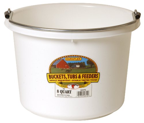 Little-Giant-P8WHITE-Dura-Flex-Plastic-Bucket-for-Livestock-8-Quart-White Little Giant P8WHITE Dura Flex Plastic Bucket for Livestock, 8-Quart, White - Image 1