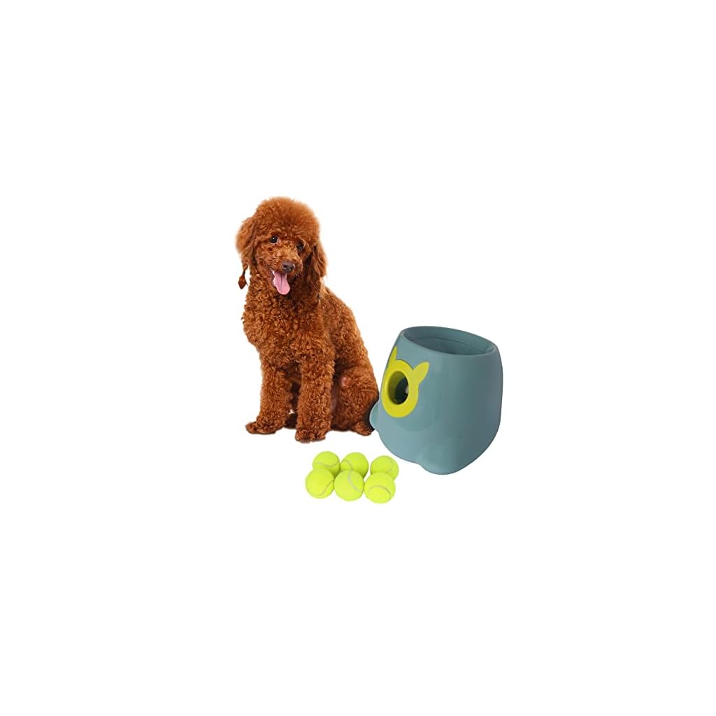 Auto Ball Thrower for Dogs Buy Online
