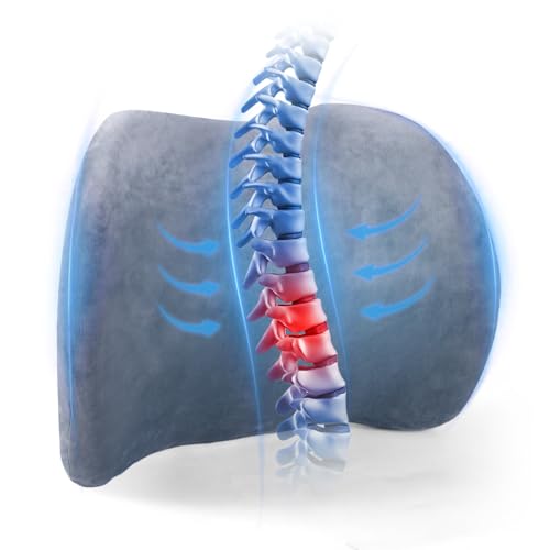 Dijialun Lumbar Support Pillow for Car, Memory Foam Back Support